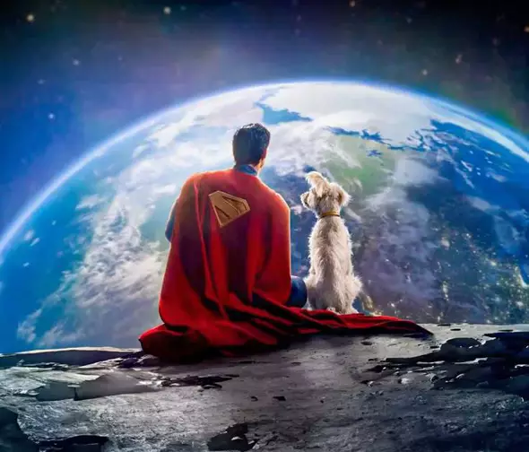 996d385a-f5dd-427a-9eb3-5faa70cfbaad